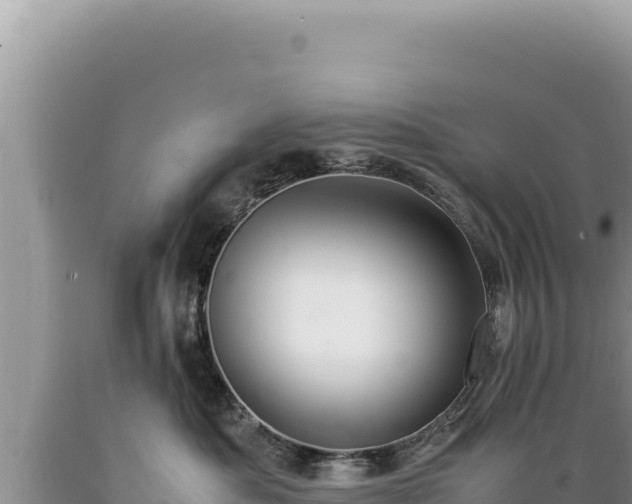 X0000089360525200706221203