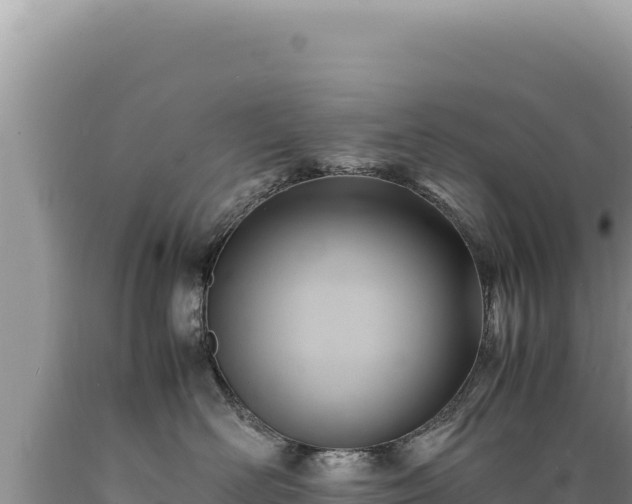 X0000089360526200706221203