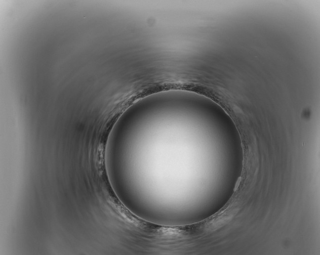 X0000089360528200706221203