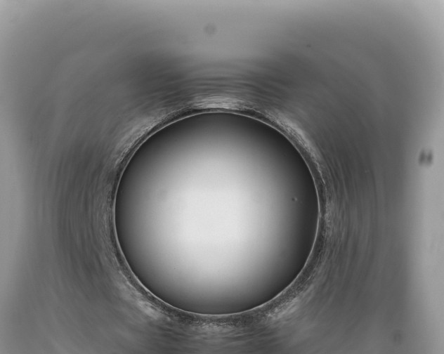 X0000089360529200706221202