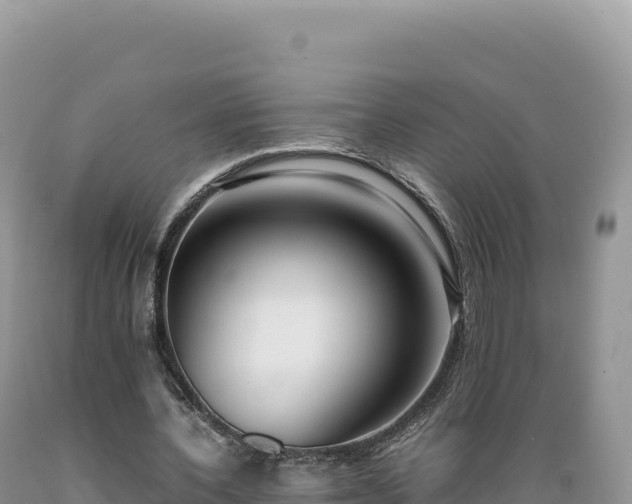 X0000089360532200706221202