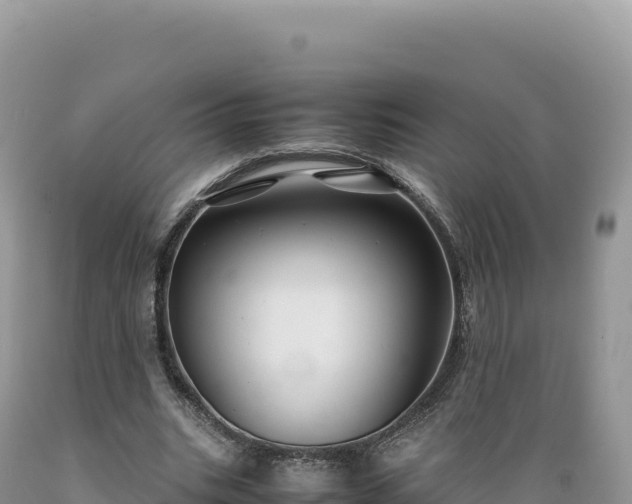 X0000089360535200706221202