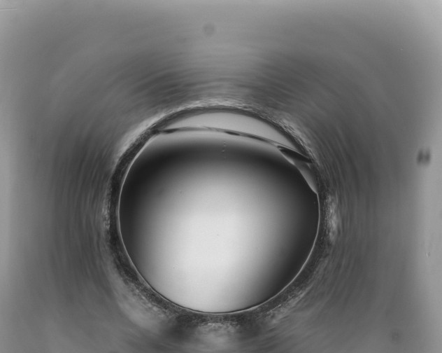X0000089360536200706221202