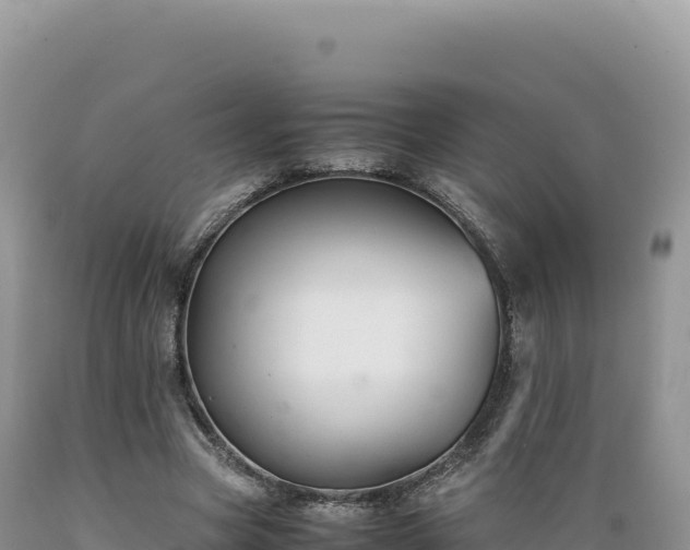 X0000089360537200706221202