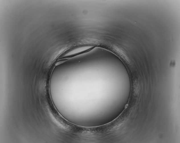 X0000089360538200706221202