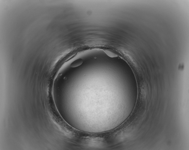 X0000089360539200706221202
