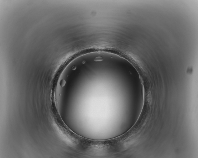 X0000089360540200706221202
