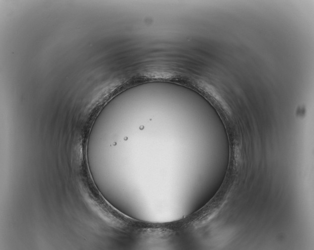 X0000089360541200706221202