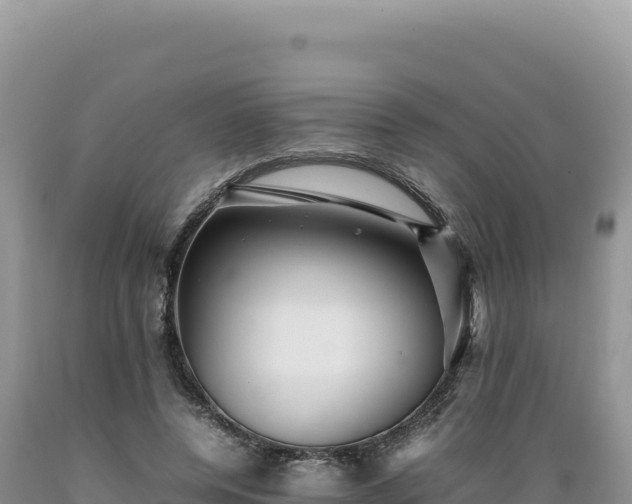 X0000089360544200706221202