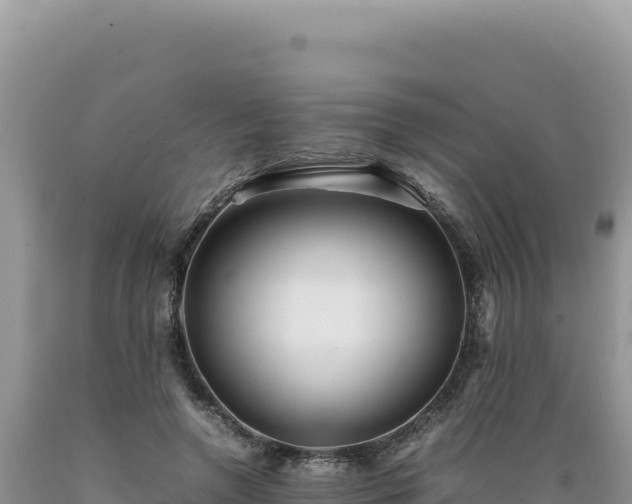 X0000089360546200706221202