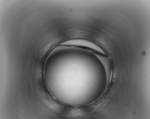 X0000089360547200706221202