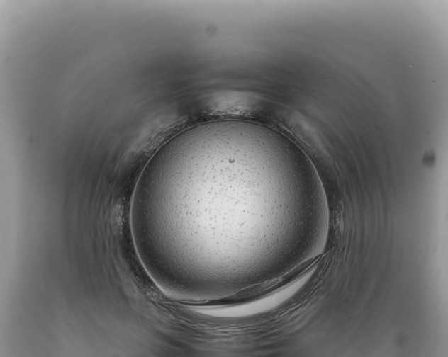 X0000089360551200706221202