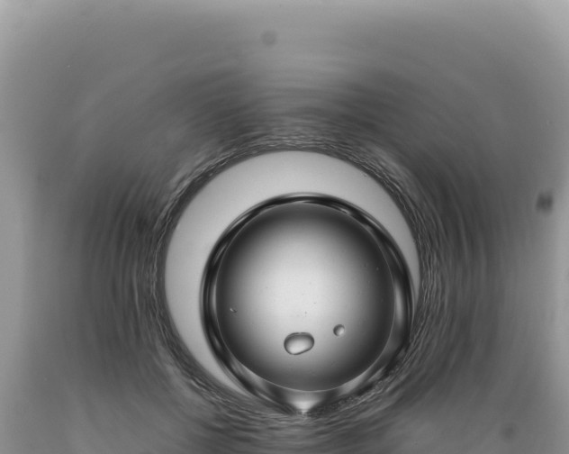 X0000089360552200706221202