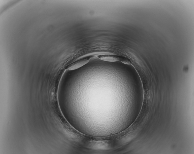 X0000089360553200706221202