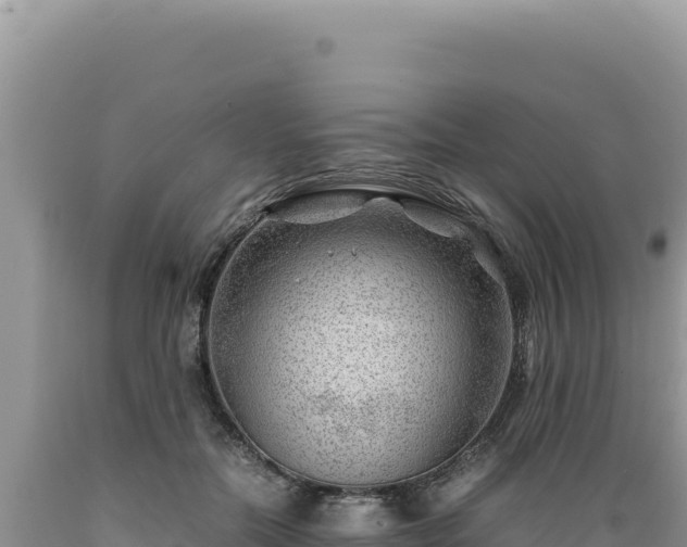 X0000089360554200706221202