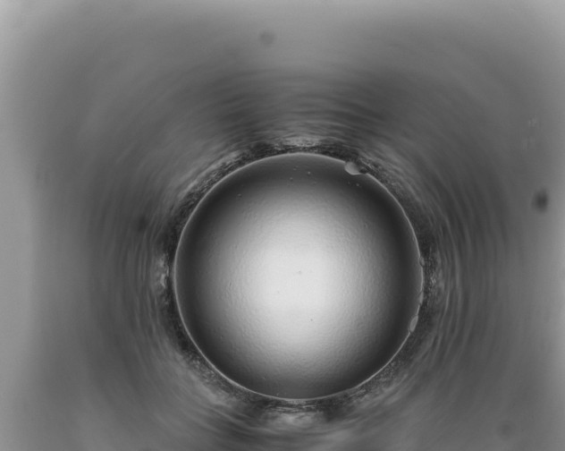 X0000089360555200706221202