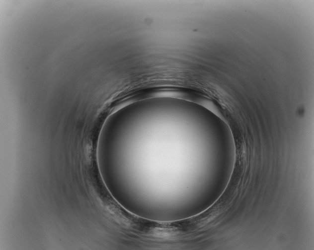 X0000089360556200706221202