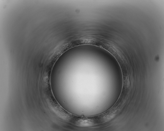 X0000089360557200706221202
