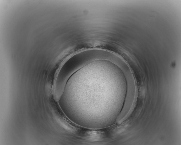 X0000089360558200706221202