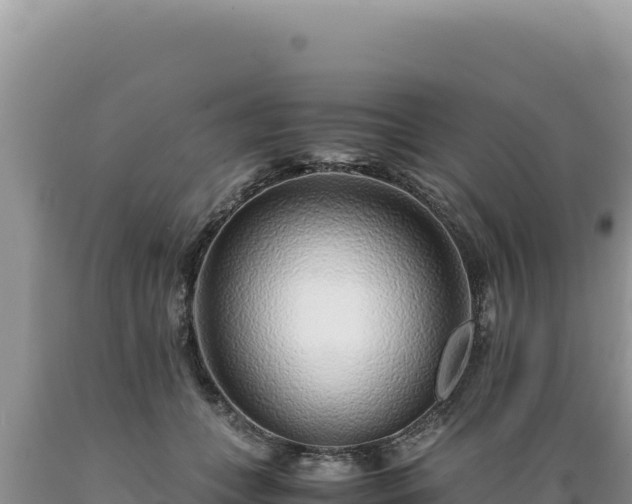 X0000089360559200706221202
