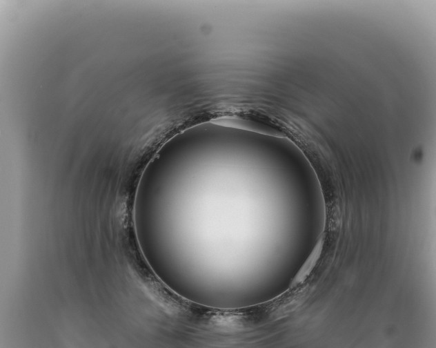 X0000089360560200706221202
