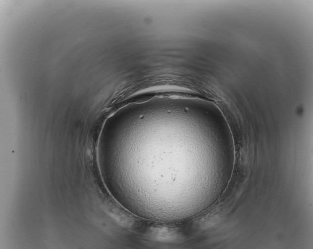 X0000089360561200706221202