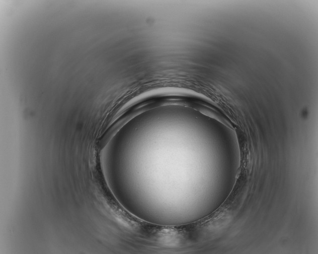 X0000089360562200706221202