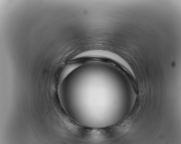 X0000089360566200706221202
