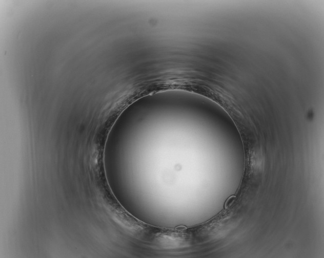 X0000089360567200706221202