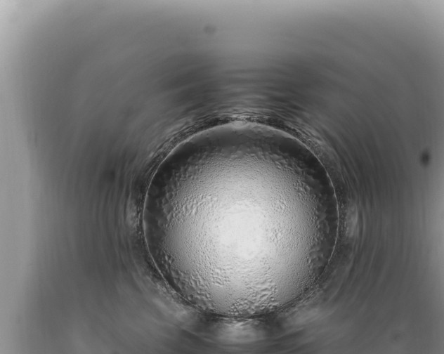 X0000089360569200706221202