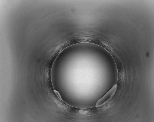 X0000089360570200706221202
