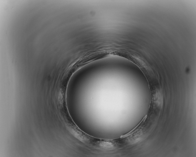 X0000089360572200706221202
