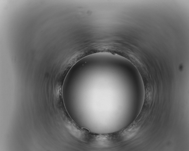 X0000089360574200706221202