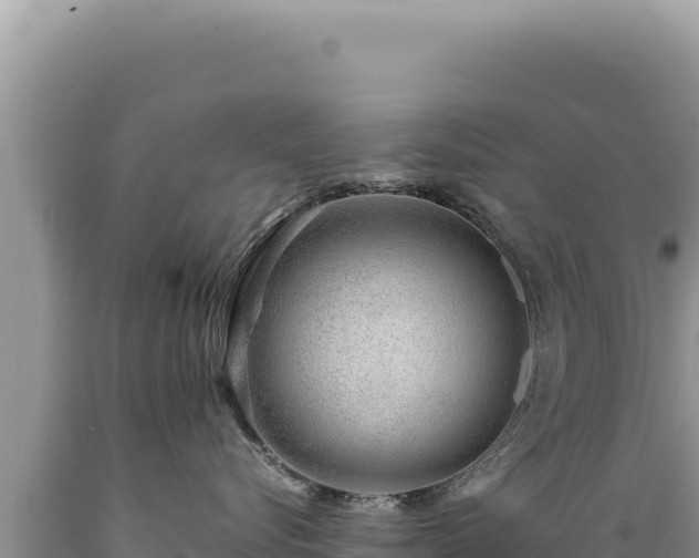 X0000089360576200706221202
