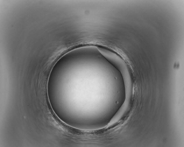 X0000089360577200706221202