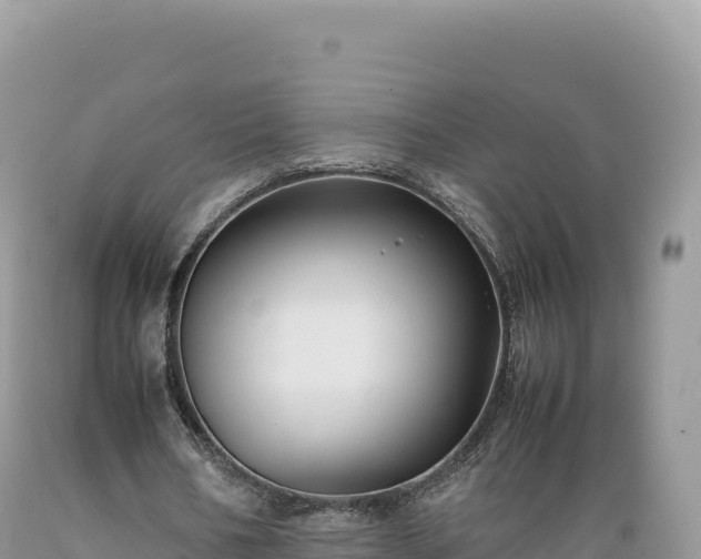 X0000089360578200706221202