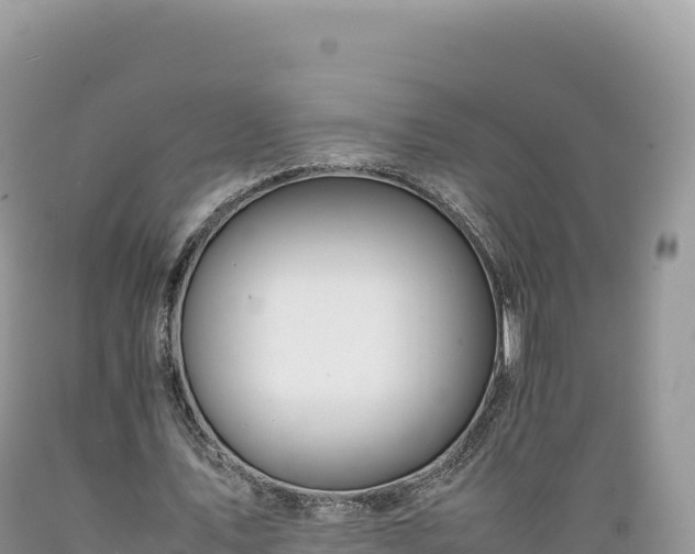 X0000089360579200706221202