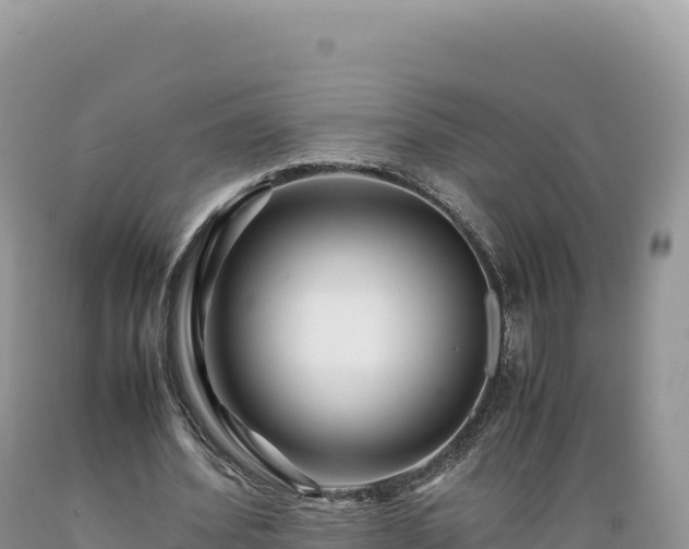 X0000089360580200706221202