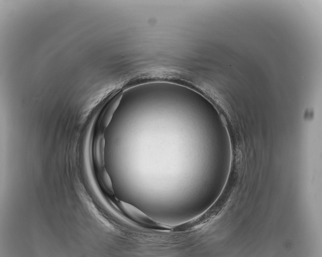 X0000089360581200706221202