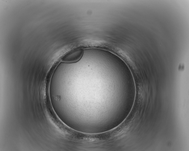 X0000089360582200706221202
