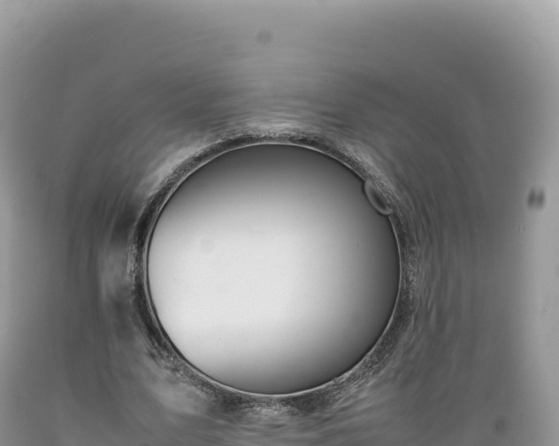 X0000089360583200706221202