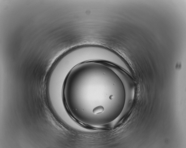 X0000089360584200706221202