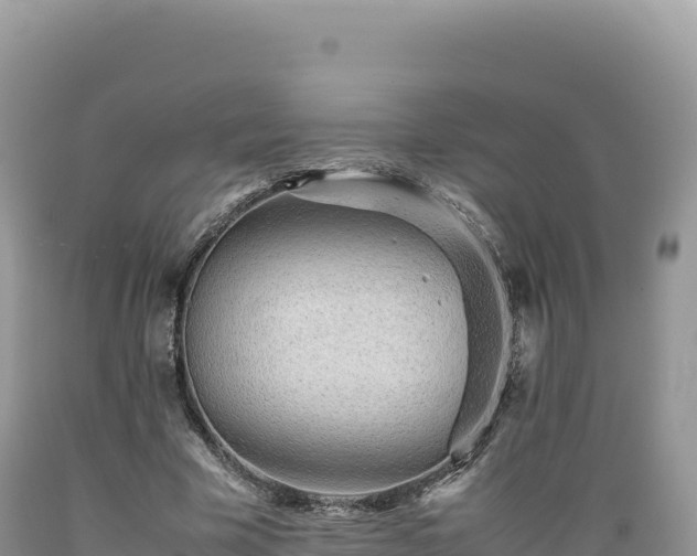 X0000089360585200706221202