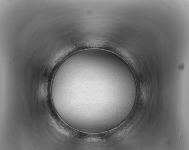 X0000089360586200706221202