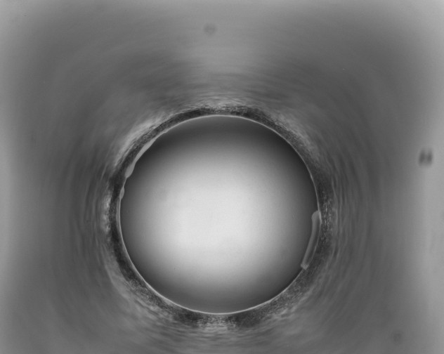 X0000089360587200706221202