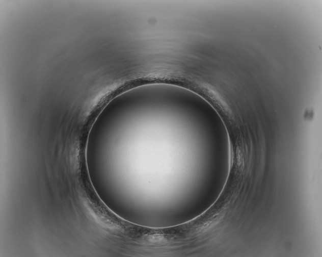 X0000089360588200706221202
