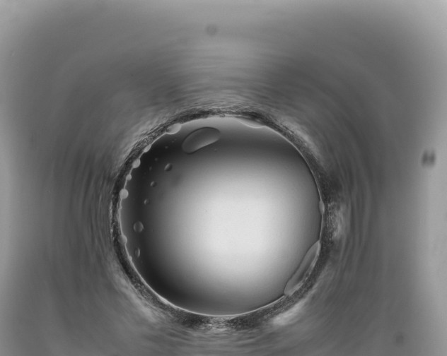 X0000089360589200706221202