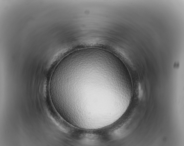 X0000089360590200706221202