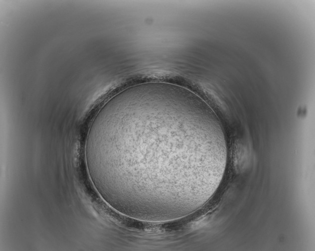 X0000089360591200706221202