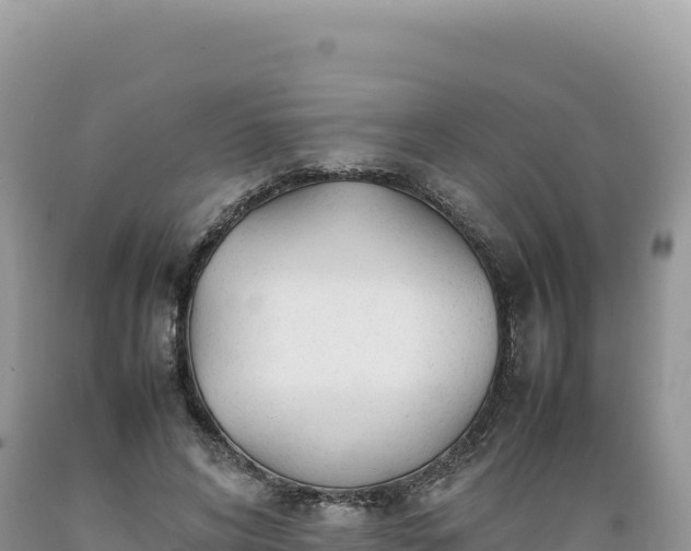 X0000089360592200706221202